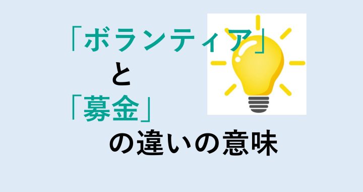 ボランティアと募金の違いの意味を分かりやすく解説！