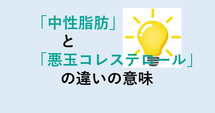 中性脂肪と悪玉コレステロールの違いの意味を分かりやすく解説！