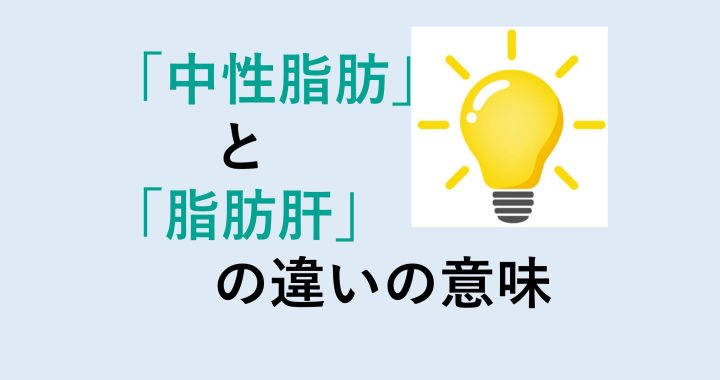 中性脂肪と脂肪肝の違いの意味を分かりやすく解説！