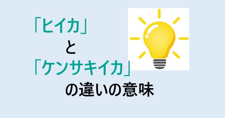 ヒイカとケンサキイカの違いの意味を分かりやすく解説！