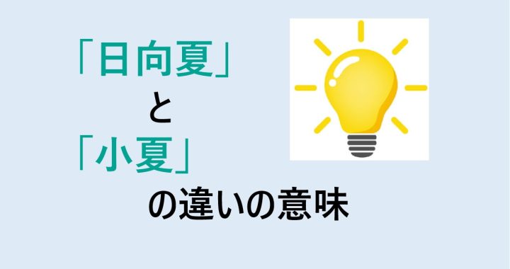 日向夏と小夏の違いの意味を分かりやすく解説！