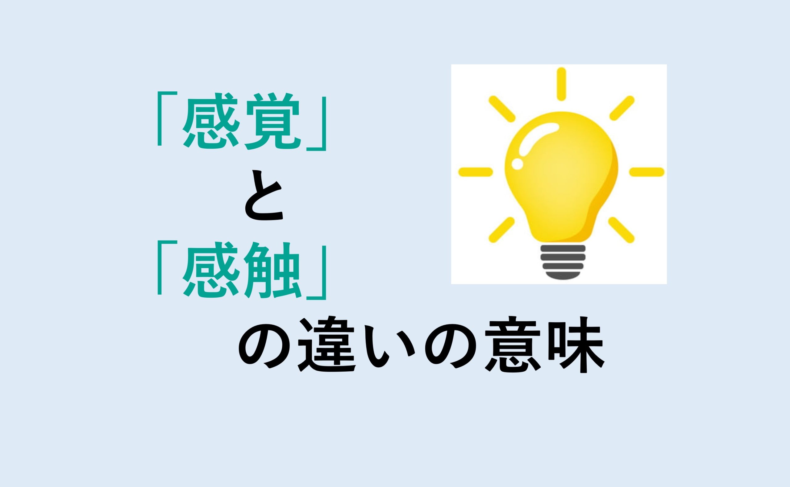 感覚と感触の違い