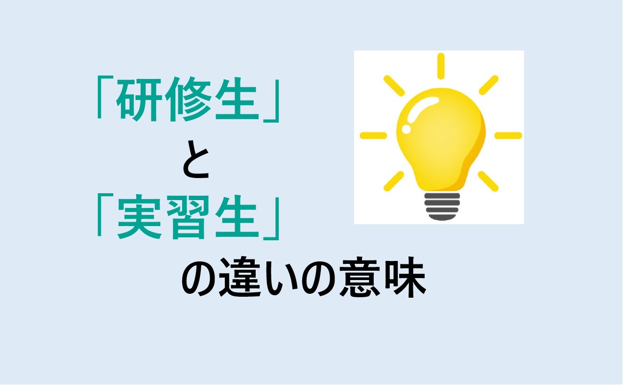 研修生と実習生の違い