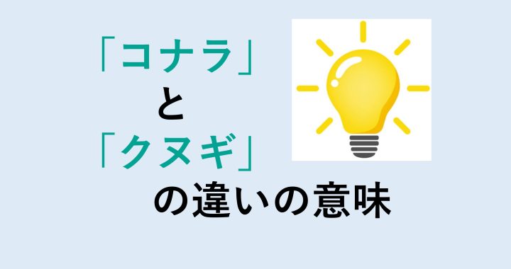 コナラとクヌギの違いの意味を分かりやすく解説！