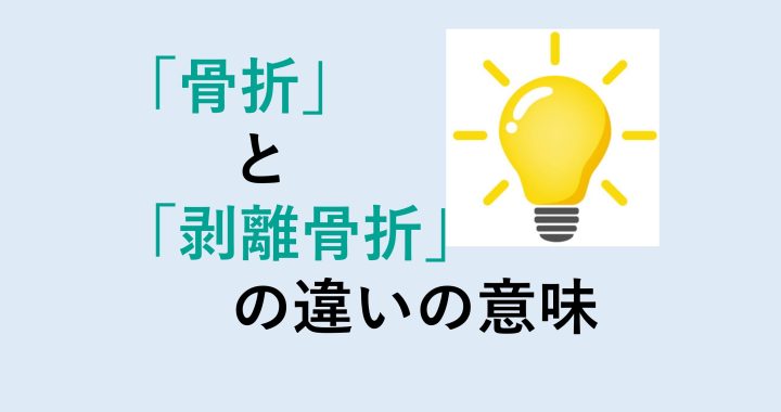 骨折と剥離骨折の違いの意味を分かりやすく解説！