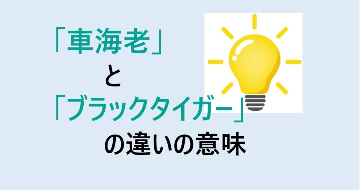 車海老とブラックタイガーの違いの意味を分かりやすく解説！