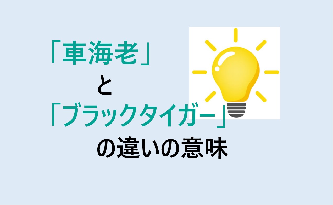 車海老とブラックタイガーの違い