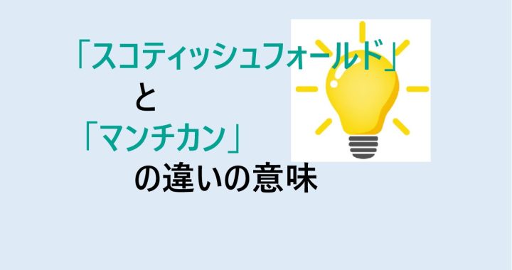 スコティッシュフォールドとマンチカンの違いの意味を分かりやすく解説！