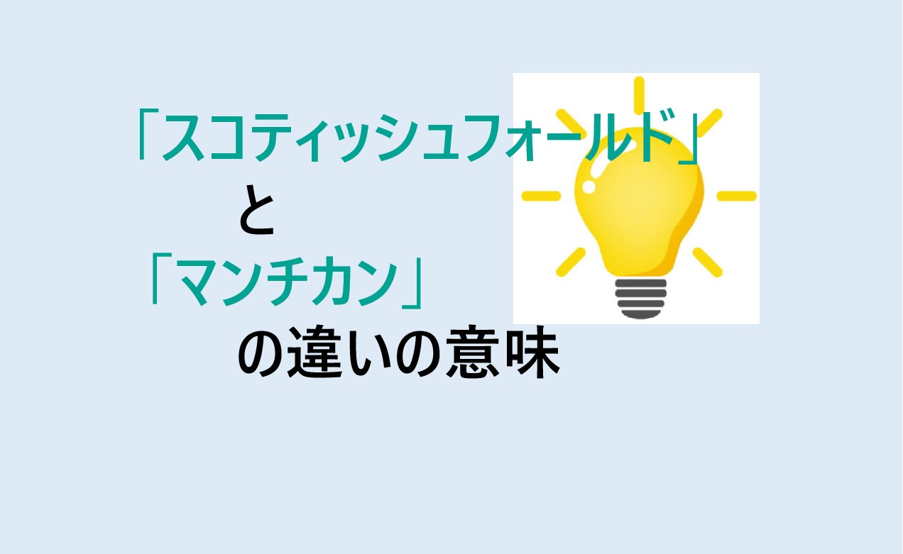 スコティッシュフォールドとマンチカンの違い