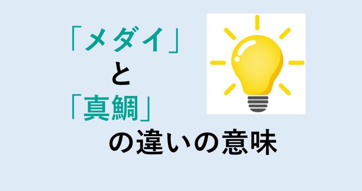 メダイと真鯛の違いの意味を分かりやすく解説！