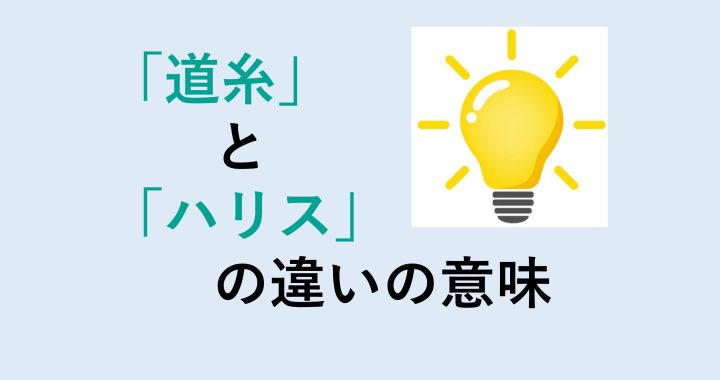 道糸とハリスの違いの意味を分かりやすく解説！