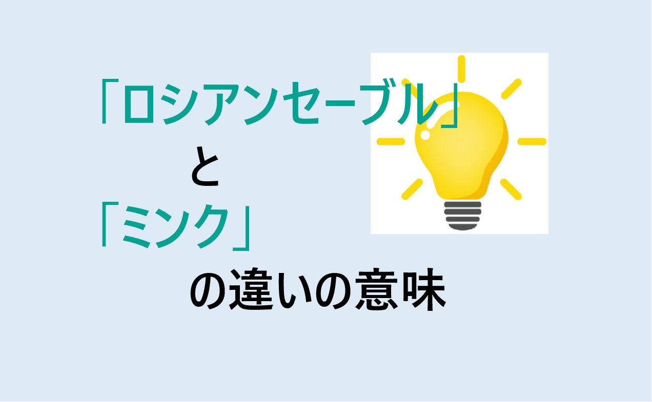 ロシアンセーブルとミンクの違い