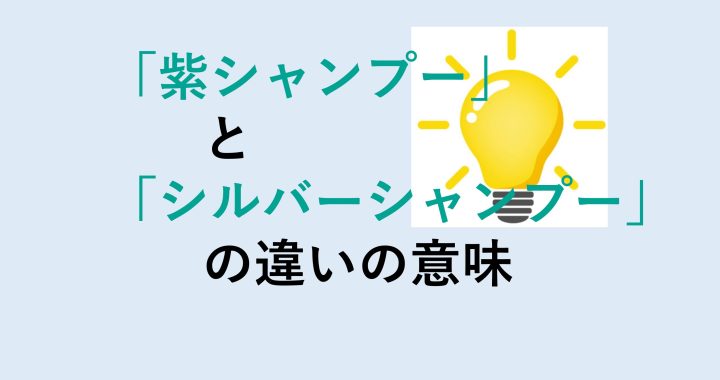 紫シャンプーとシルバーシャンプーの違いの意味を分かりやすく解説！