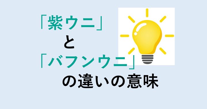 紫ウニとバフンウニの違いの意味を分かりやすく解説！