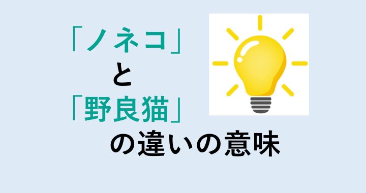 ノネコと野良猫の違いの意味を分かりやすく解説！