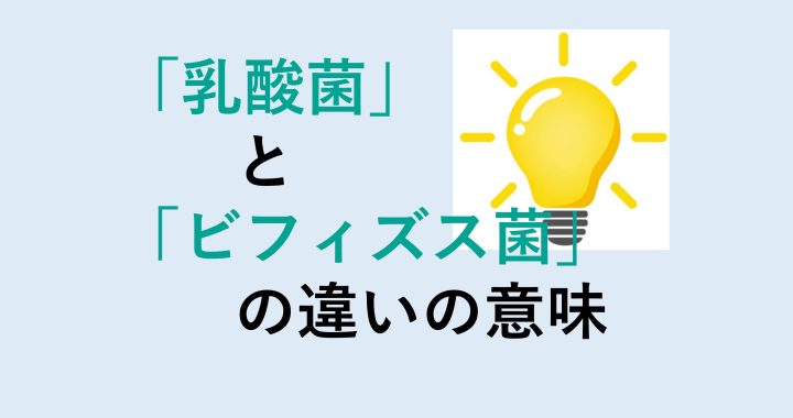 乳酸菌とビフィズス菌の違いの意味を分かりやすく解説！