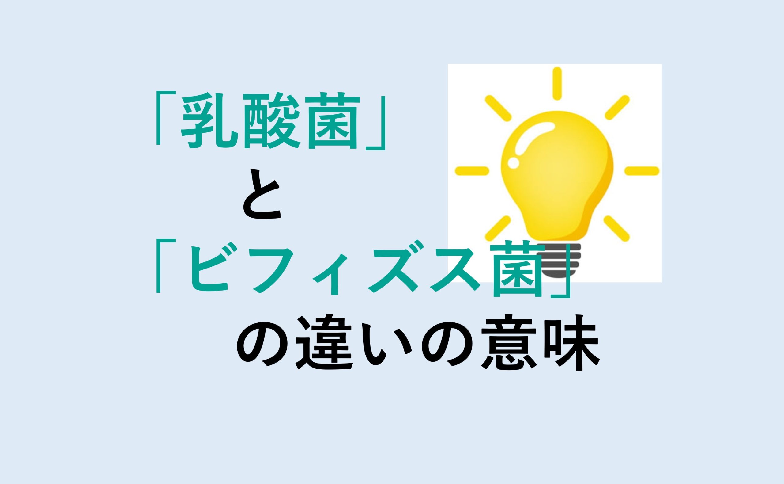 乳酸菌とビフィズス菌の違い