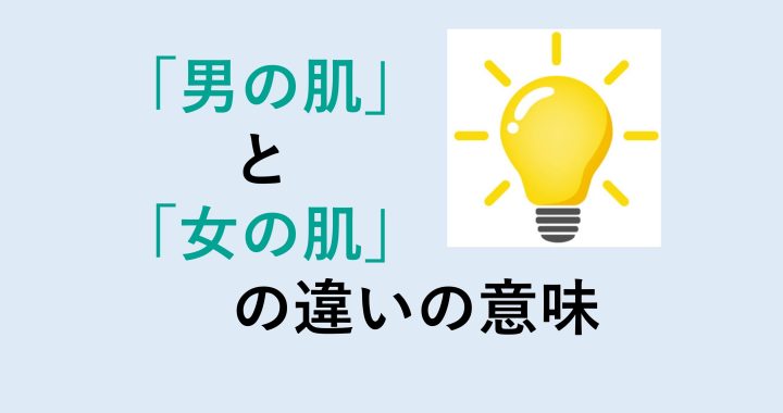 男の肌と女の肌の違いの意味を分かりやすく解説！