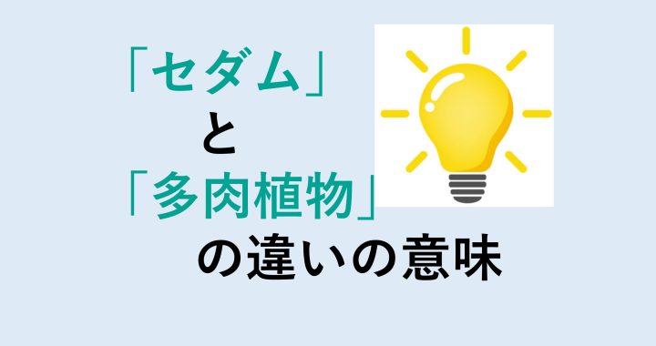 セダムと多肉植物の違いの意味を分かりやすく解説！