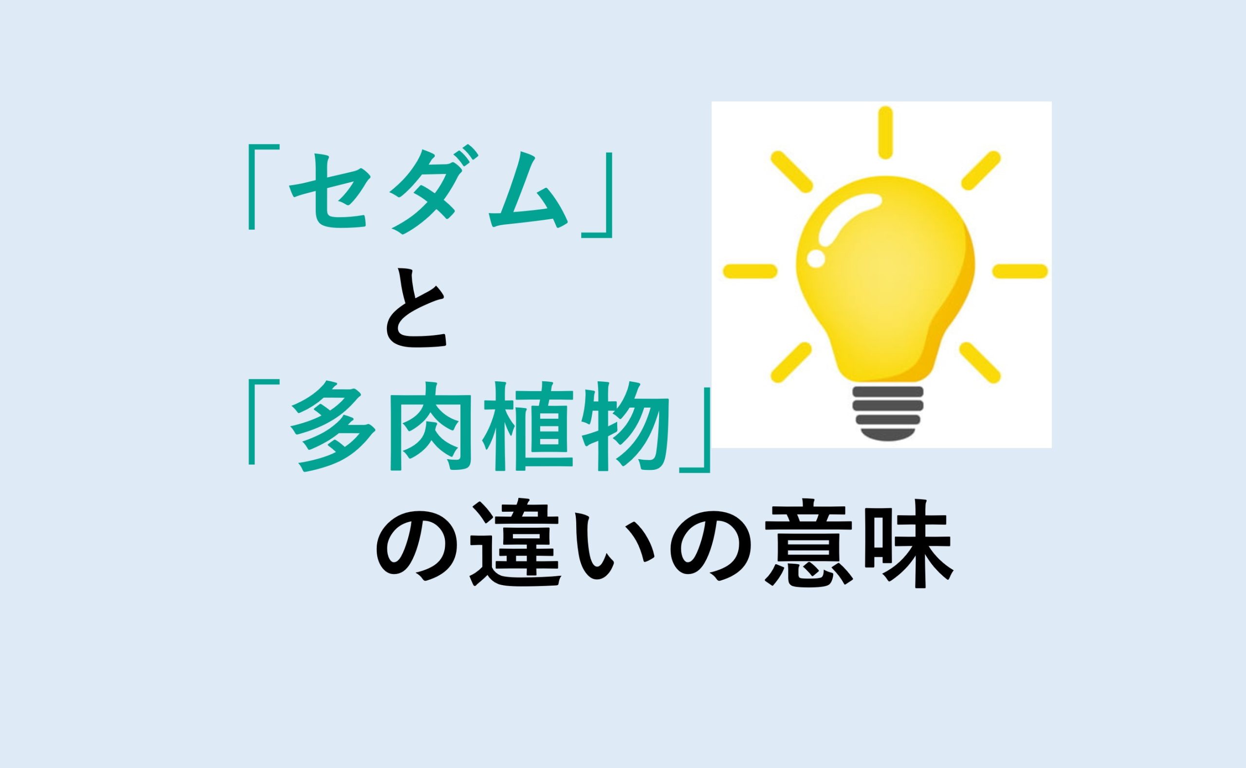 セダムと多肉植物の違い