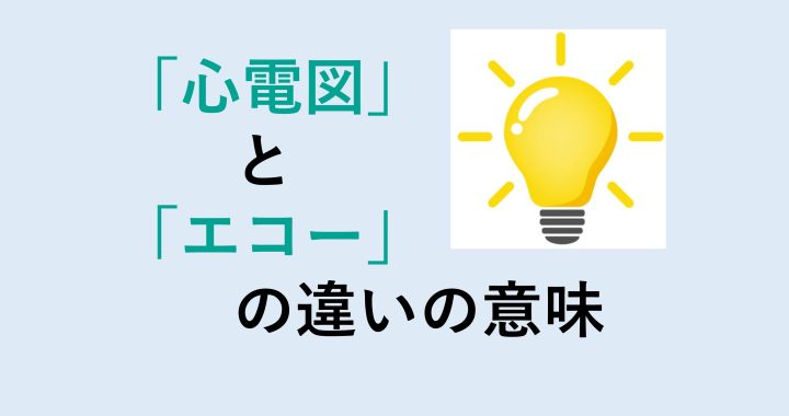 心電図とエコーの違いの意味を分かりやすく解説！