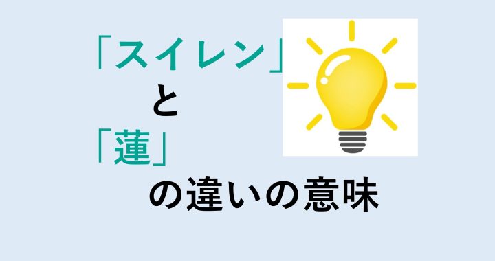 スイレンと蓮の違いの意味を分かりやすく解説！