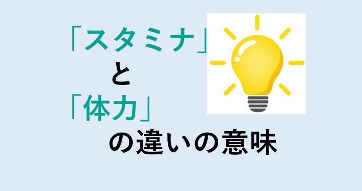 スタミナと体力の違いの意味を分かりやすく解説！