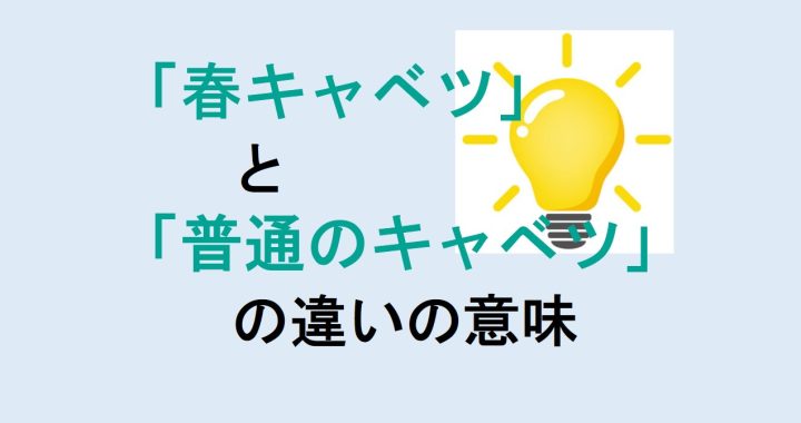 春キャベツと普通のキャベツの違いの意味を分かりやすく解説！