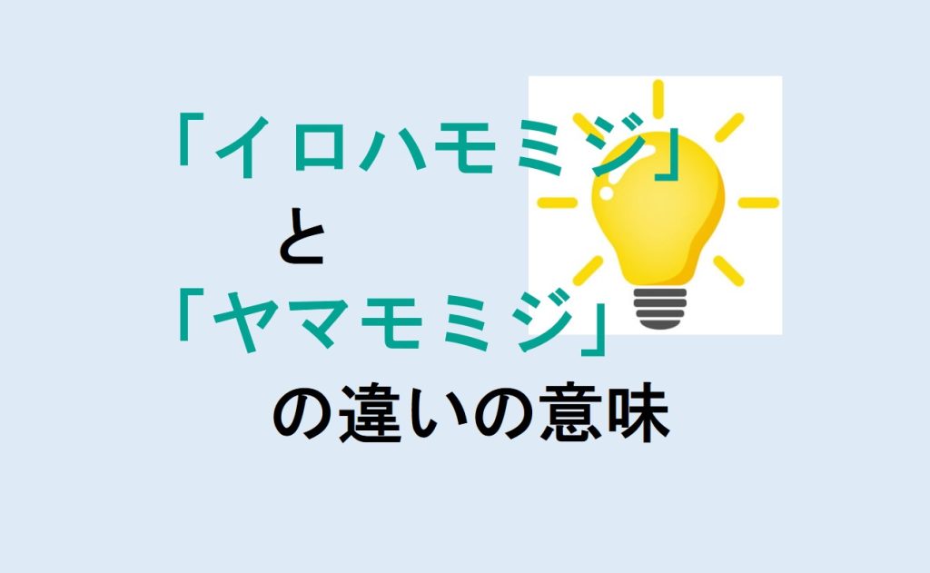 イロハモミジとヤマモミジの違い
