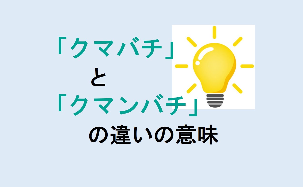 クマバチとクマンバチの違い