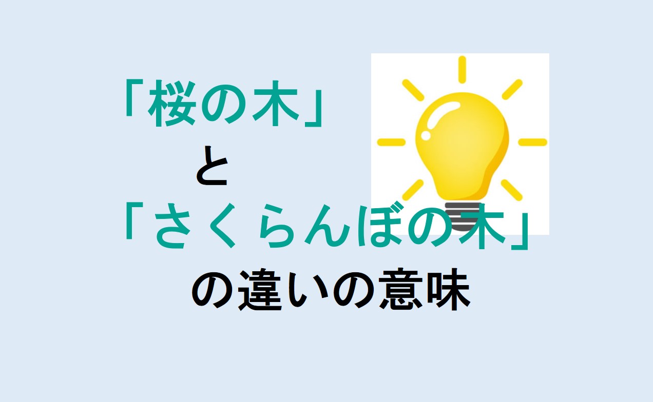 桜の木とさくらんぼの木の違い