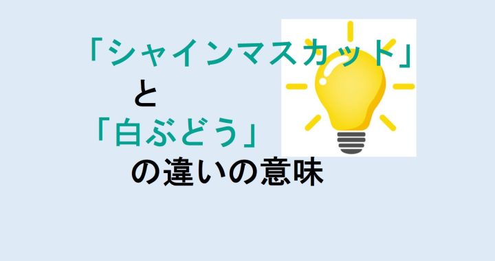 シャインマスカットと白ぶどうの違いの意味を分かりやすく解説！