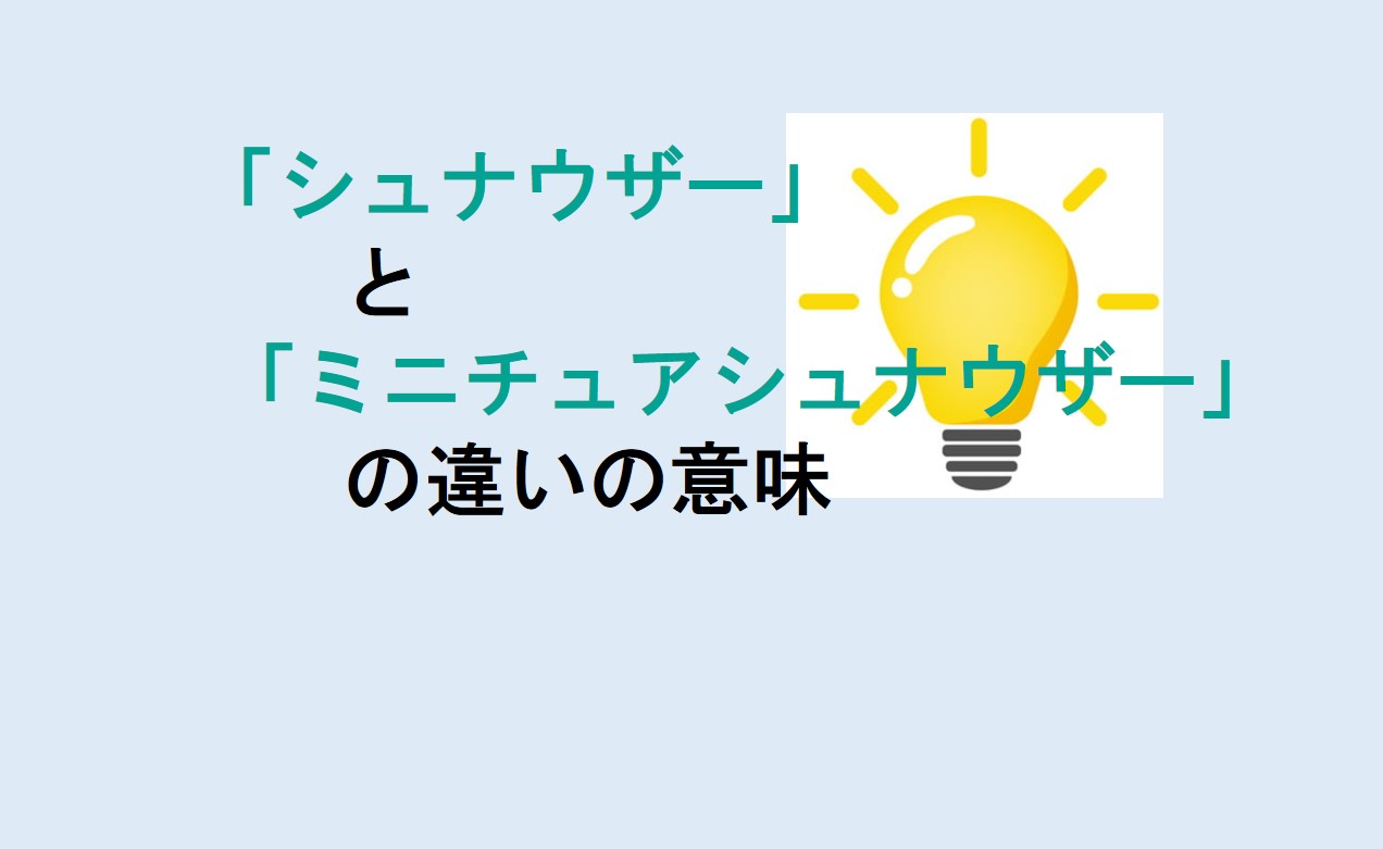 シュナウザーとミニチュアシュナウザーの違い