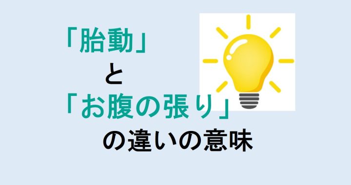 胎動とお腹の張りの違いの意味を分かりやすく解説！