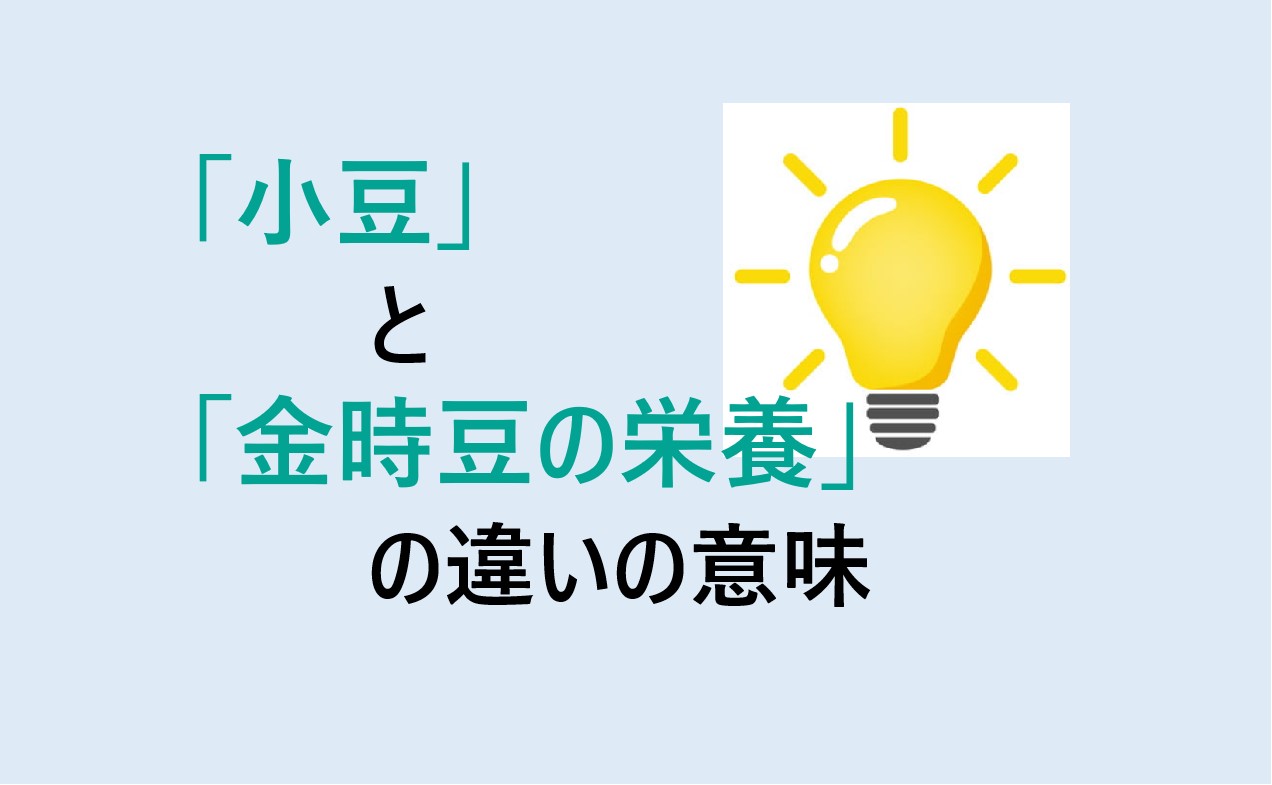 小豆と金時豆の栄養の違い