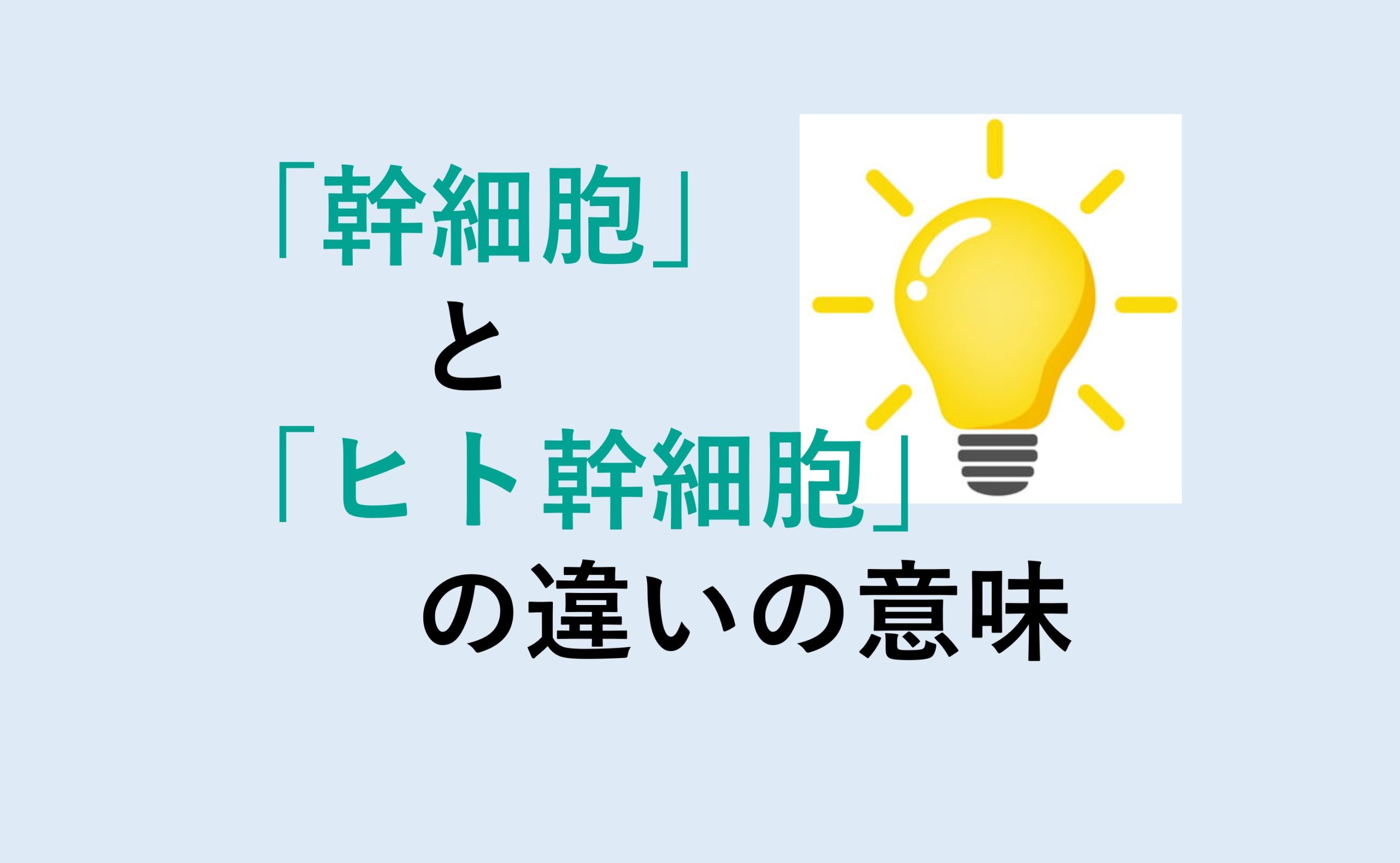 幹細胞とヒト幹細胞の違い