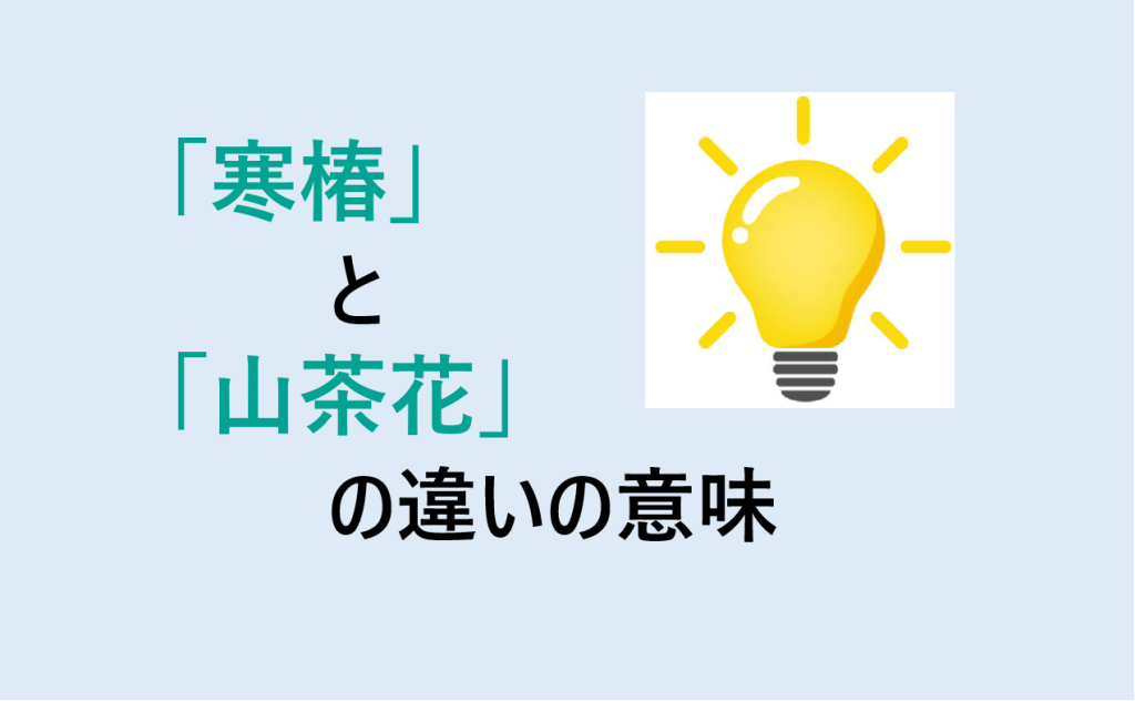 寒椿と山茶花の違い