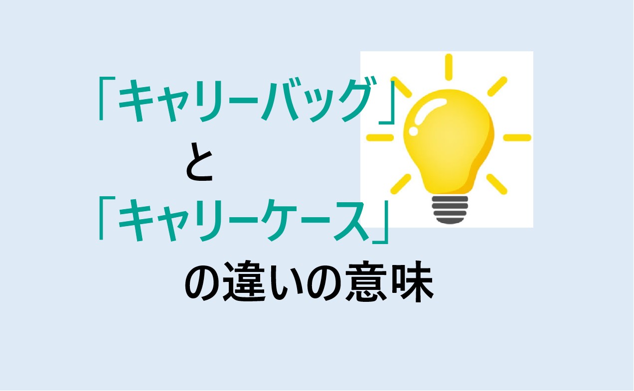 キャリーバッグとキャリーケースの違い