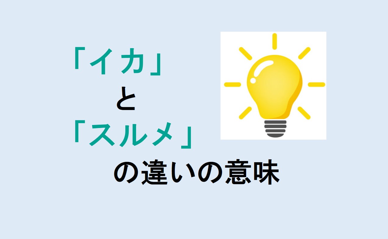 イカとスルメの違い