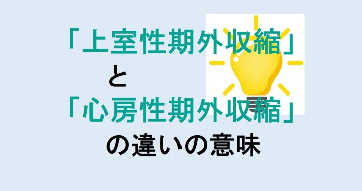 上室性期外収縮と心房性期外収縮の違いの意味を分かりやすく解説！