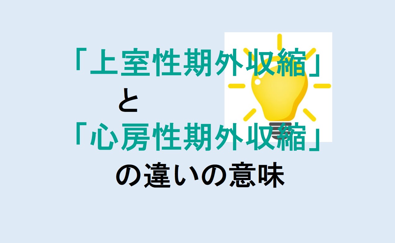 上室性期外収縮と心房性期外収縮の違い