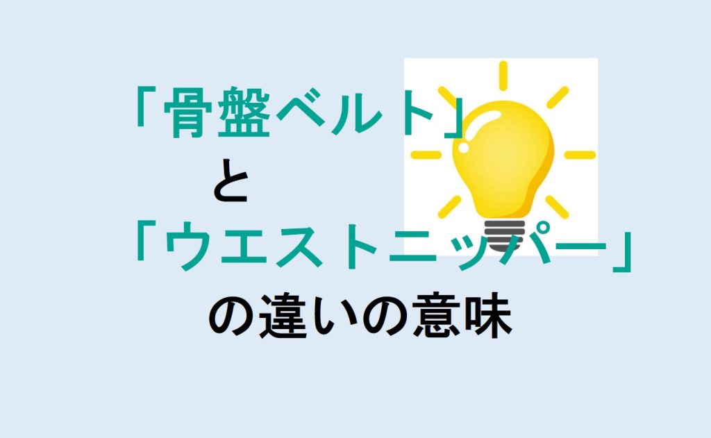 骨盤ベルトとウエストニッパーの違い