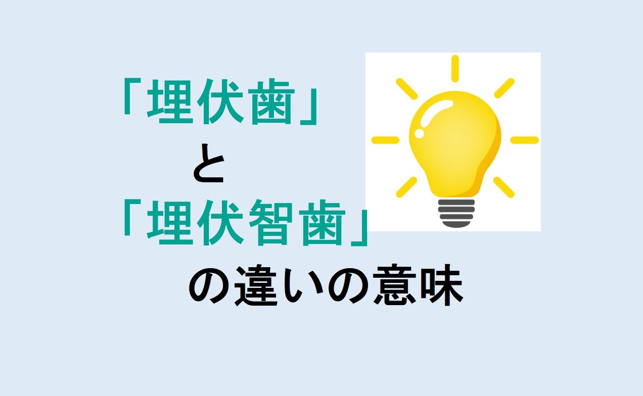 埋伏歯と埋伏智歯の違い