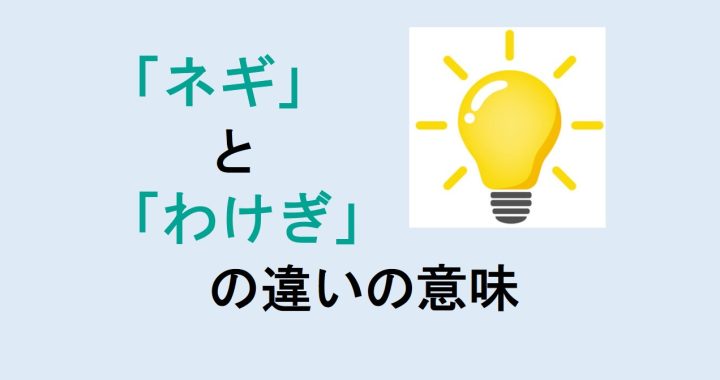 ネギとわけぎの違いの意味を分かりやすく解説！