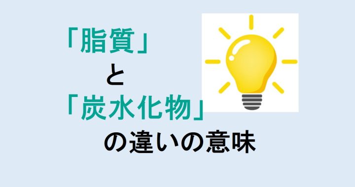 脂質と炭水化物の違いの意味を分かりやすく解説！