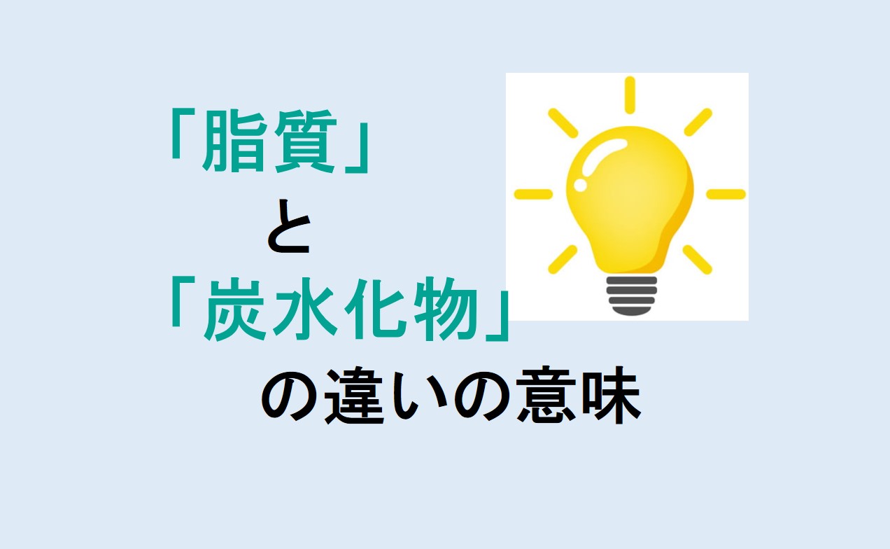 脂質と炭水化物の違い