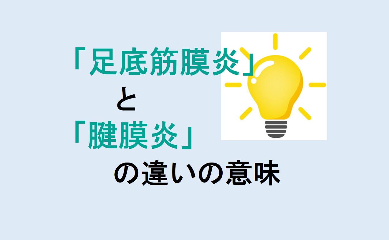 足底筋膜炎と腱膜炎の違い