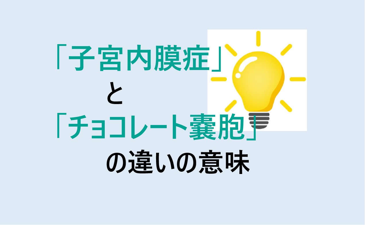 子宮内膜症とチョコレート嚢胞の違い