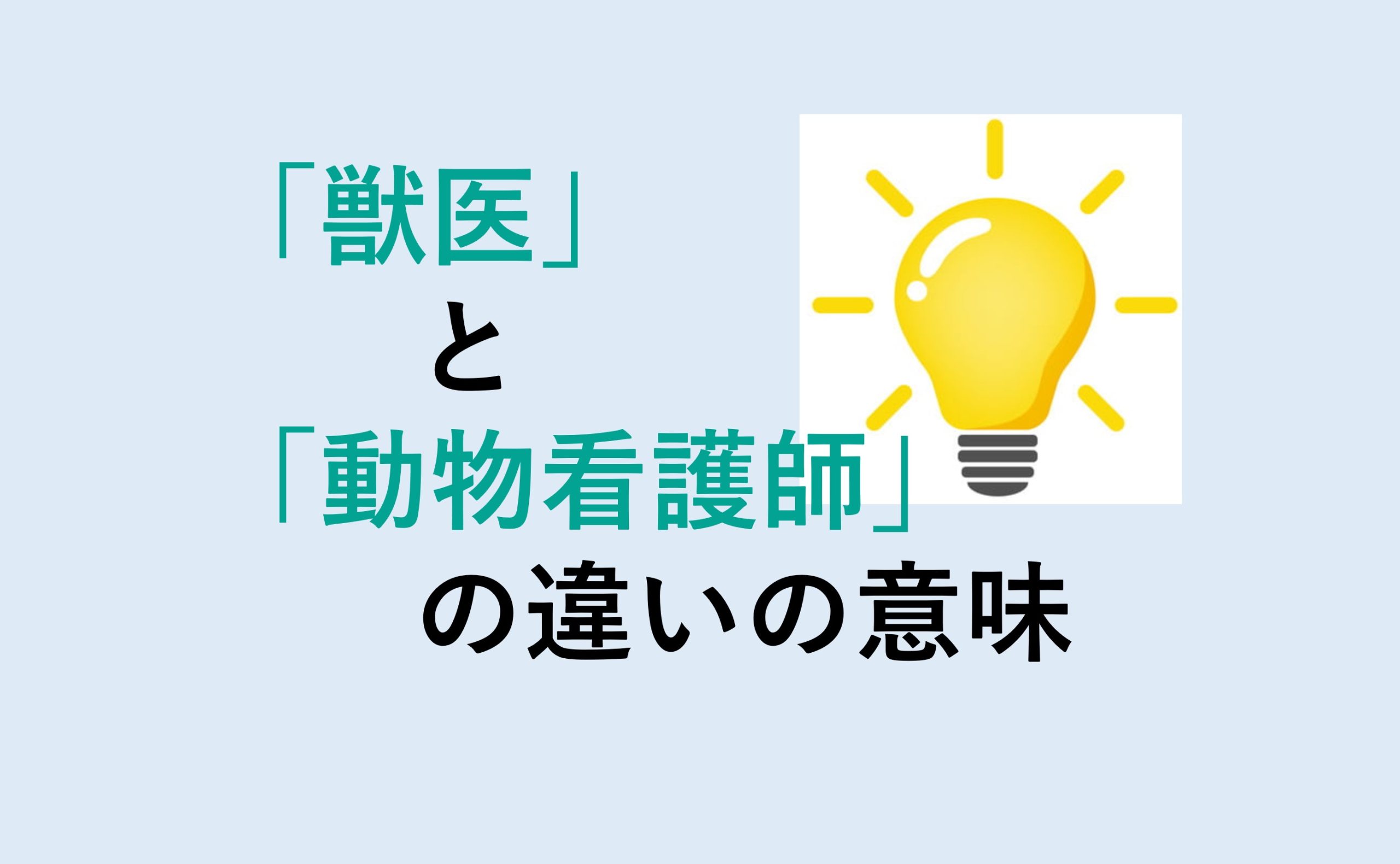 獣医と動物看護師の違い