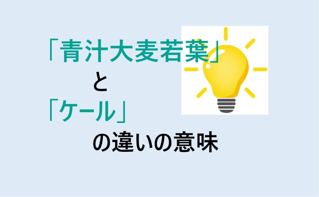 青汁大麦若葉とケールの違い